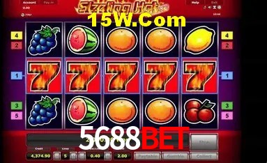 Experiência VIP 5688Bet